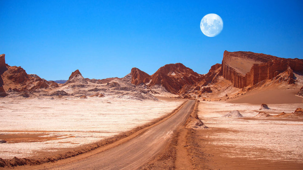 El desierto de Atacama sorprende con un manto de flores de color amarillo y magenta