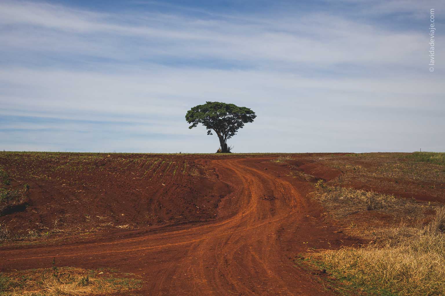 deforestacion en misiones