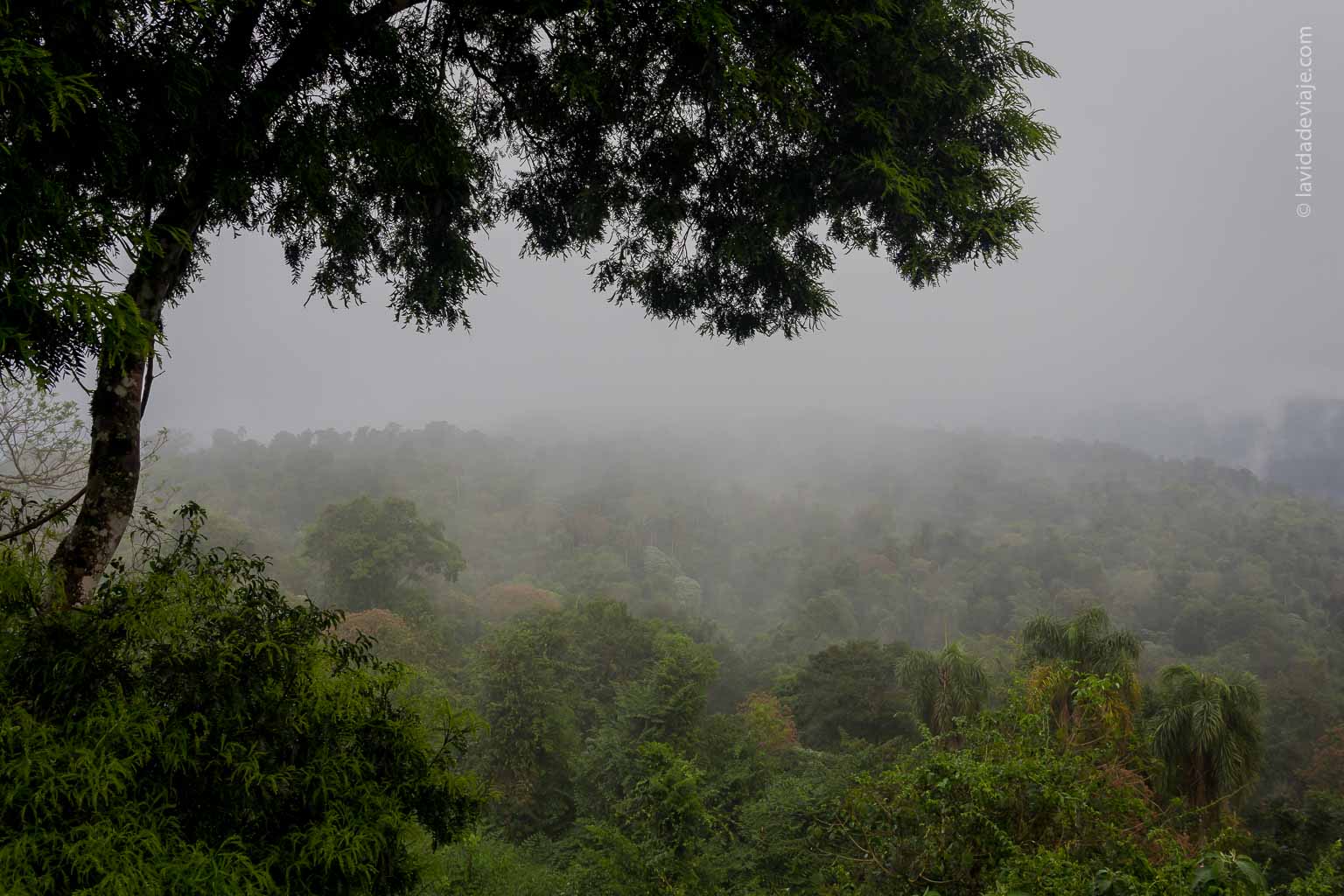 ruta para llegar a los saltos de moconá en misiones