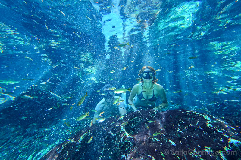 Cenotes Quintana Roo Yucatan Bejil-Ha Xunaan-Ha Pecera