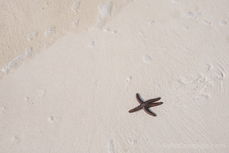 Que Ver en Holbox Playa Estrella