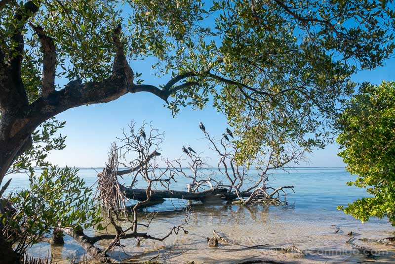 Que Ver en Holbox Punta Ciricote