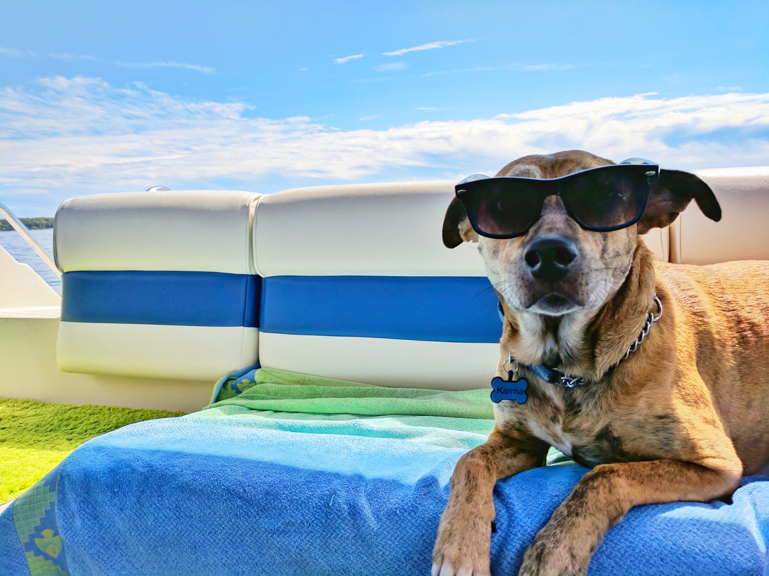 8 hoteles petfriendly en Cancún - México Ruta Mágica