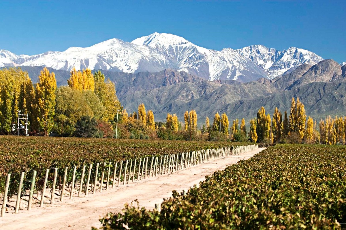 Vacaciones de verano: 10 excursiones imperdibles en Mendoza