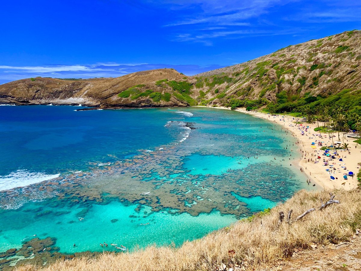 LAS 15 MEJORES cosas que hacer en Honolulu (2025)