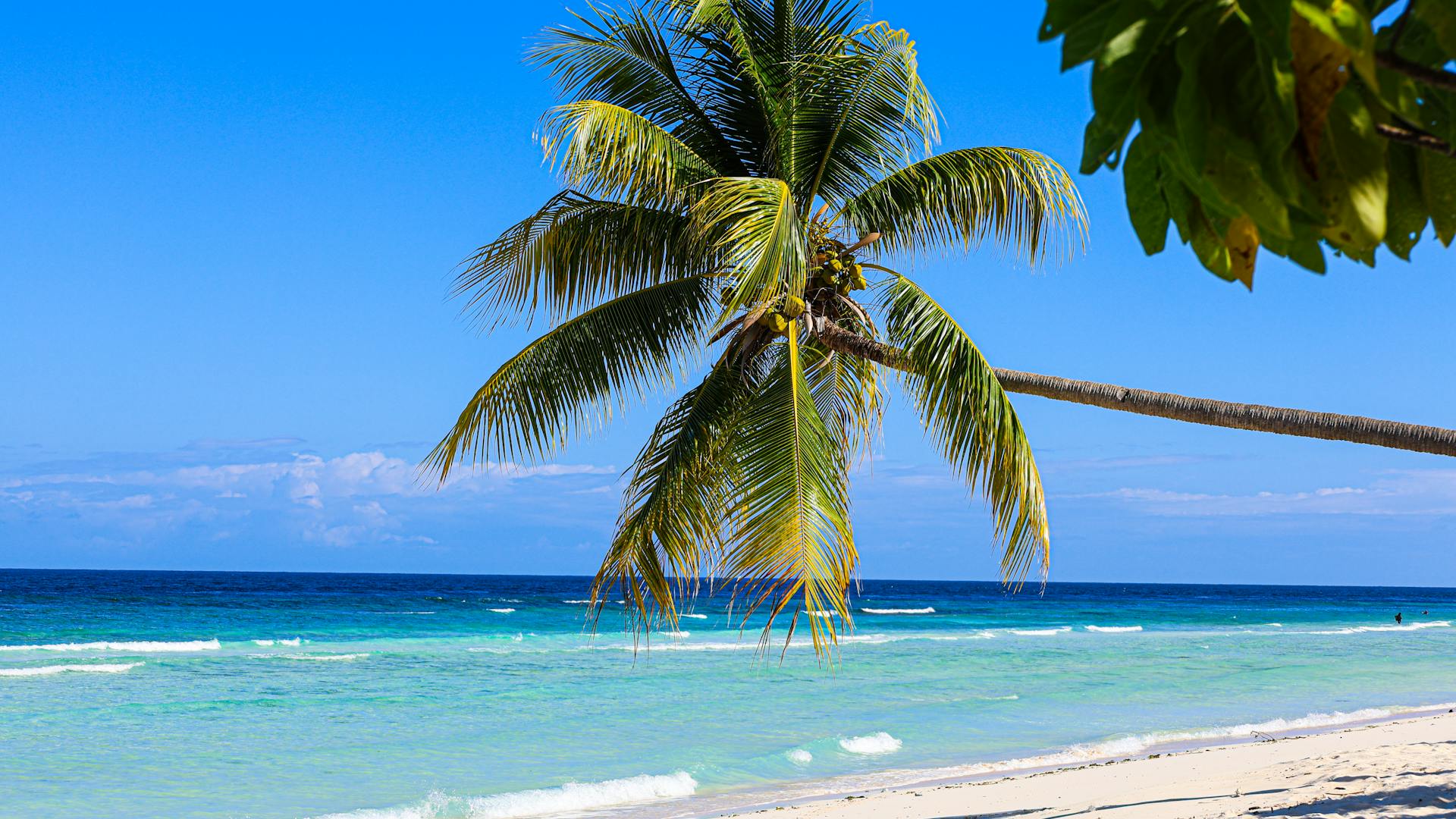 Caribe – Turismo Carey