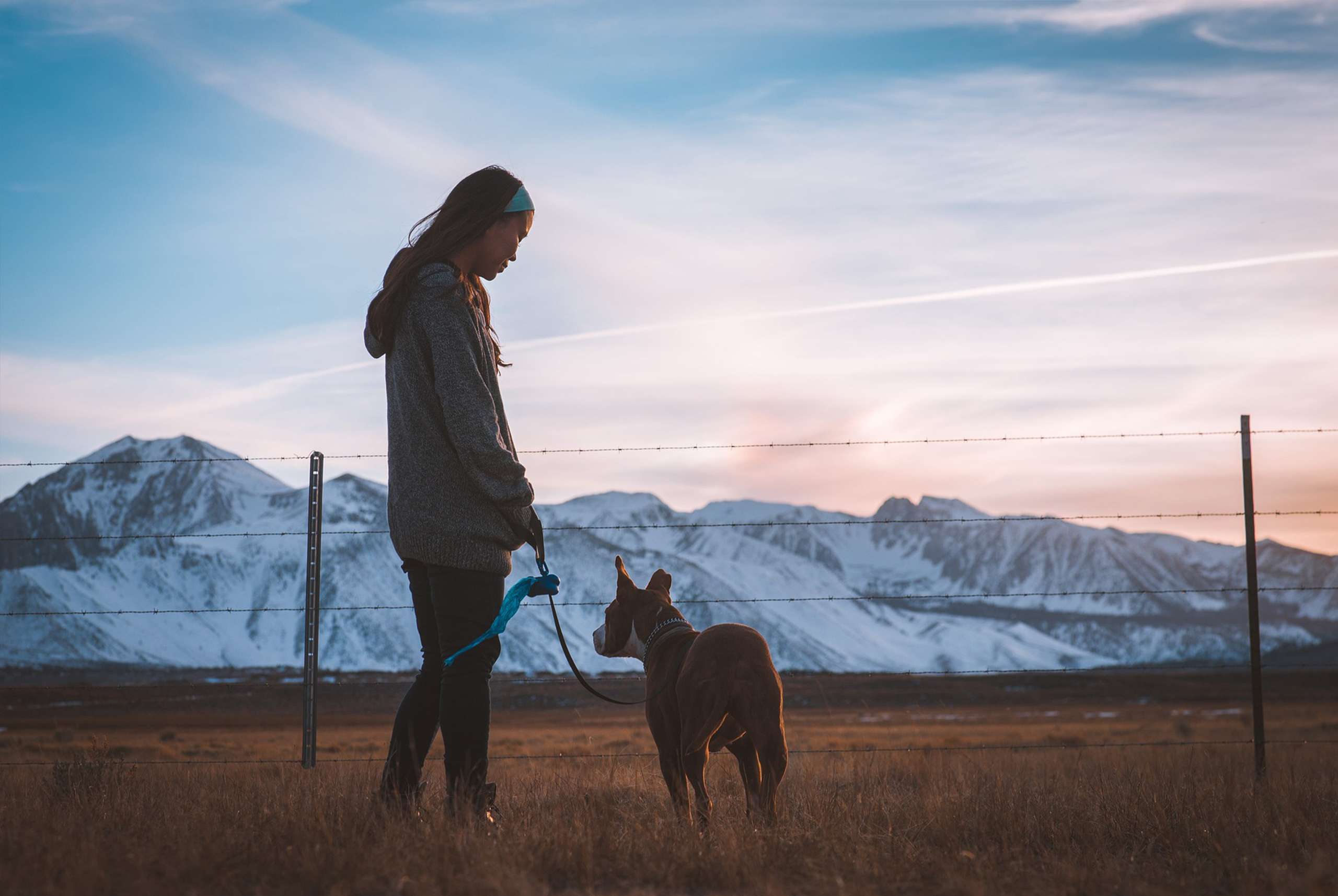 Cuáles son las 5 ciudades más pet friendly de todo Europa
