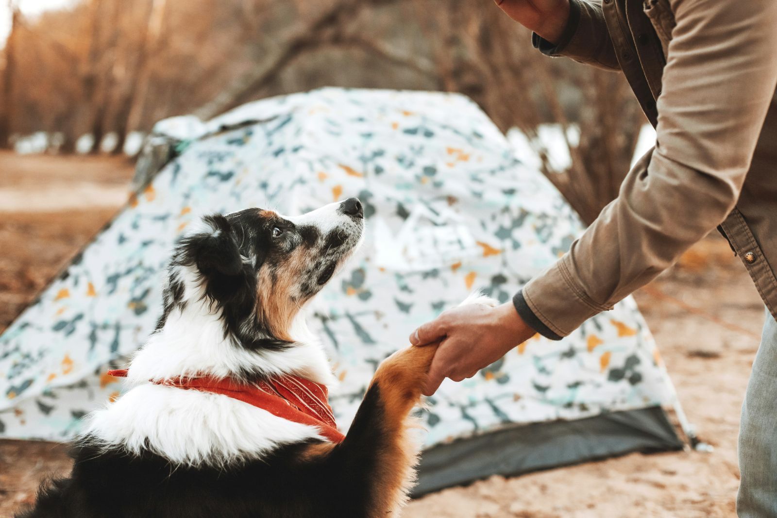 Camping y bungalows con perro en Pals, Costa Brava