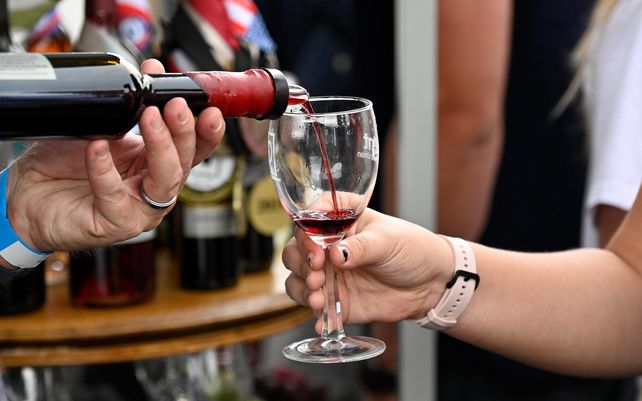 Dos vinos de Mendoza fueron premiadas con una importante distinción.
