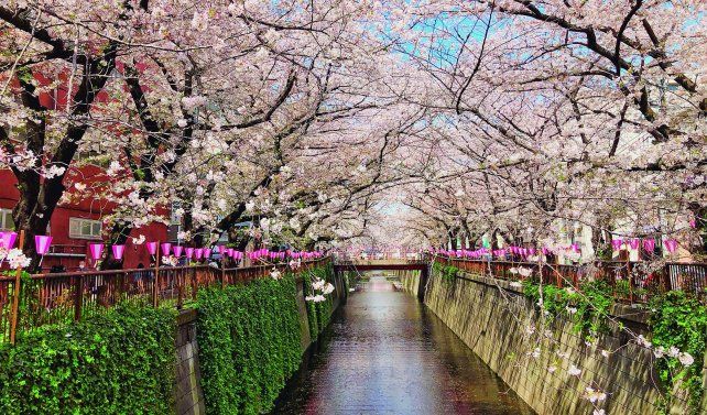 Japón y Corea ofrecen rincones mágicos para que los turistas puedan explorar. Japón y Corea ofrecen rincones mágicos para que los turistas puedan explorar.