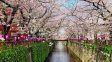 Japón y Corea ofrecen rincones mágicos para que los turistas puedan explorar.