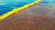 Estas barreras permiten retener el sargazo u otras algas mientras que dejan pasar el agua a través suyo mediante su red.