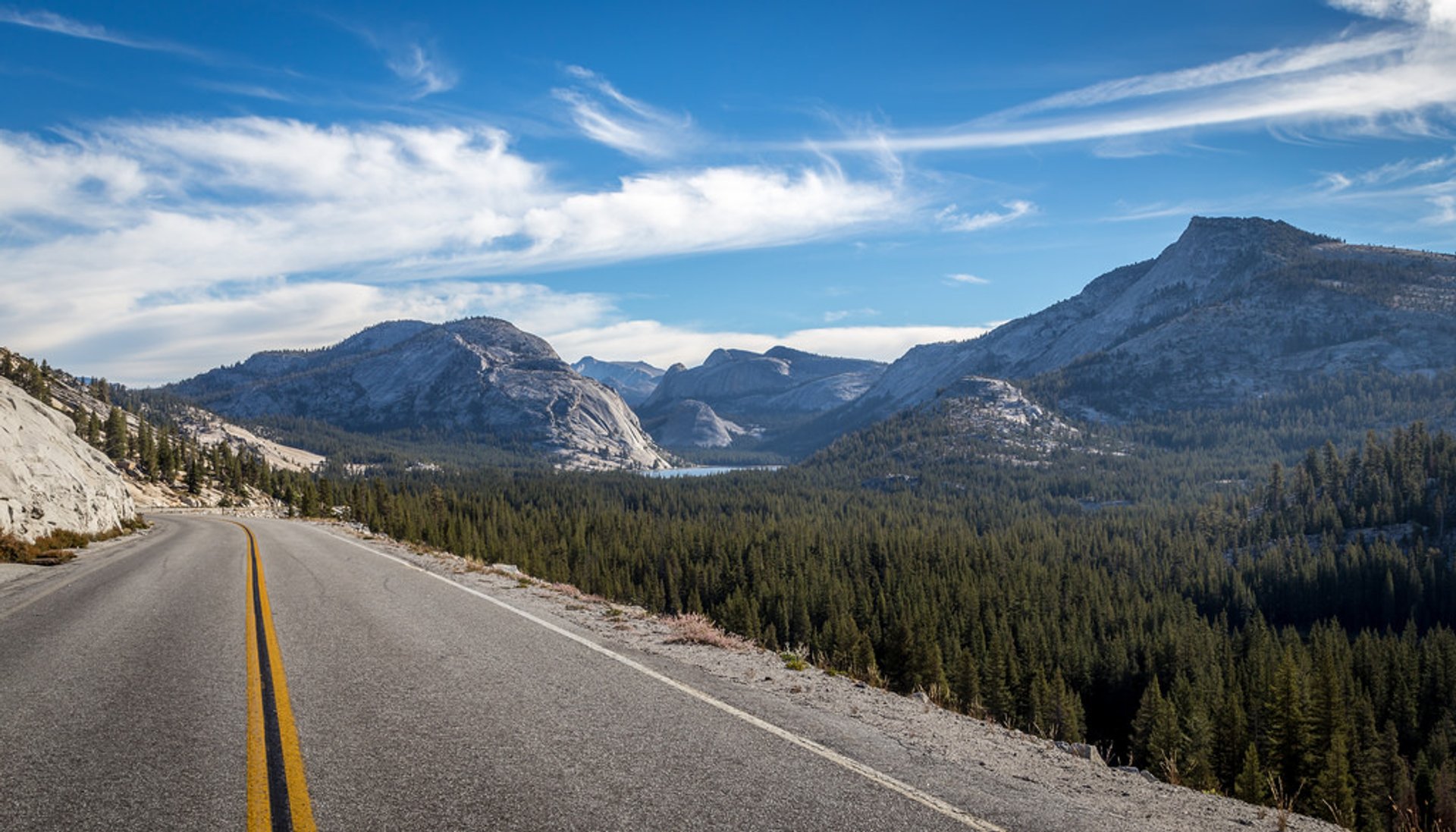 Camino Tioga en Yosemite 2025 - Rove.me