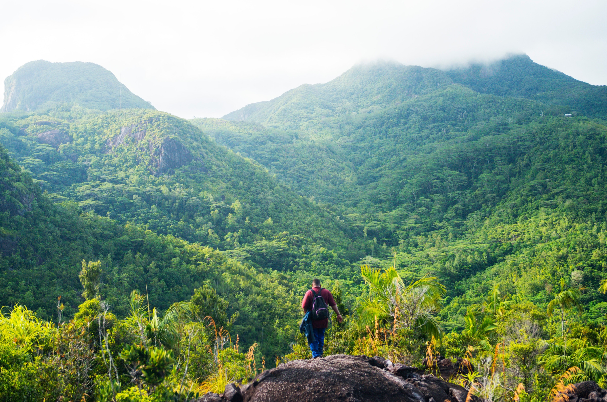 Morne Seychellois National Park, Seychelles: guida ai luoghi da visitare - Lonely Planet
