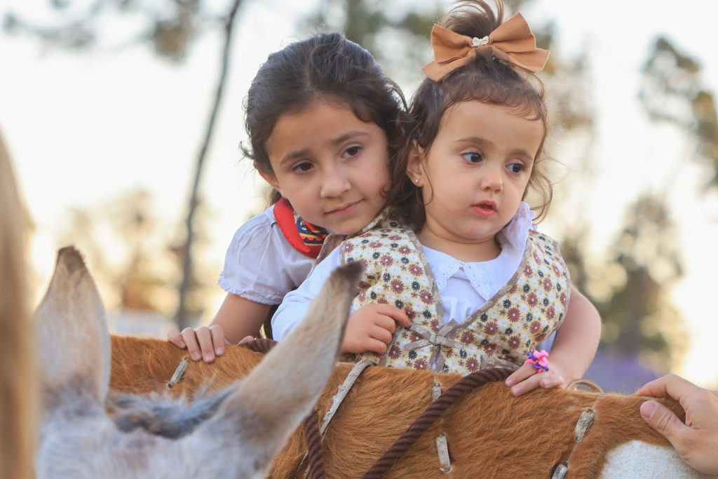 1001633775-1024x683-1