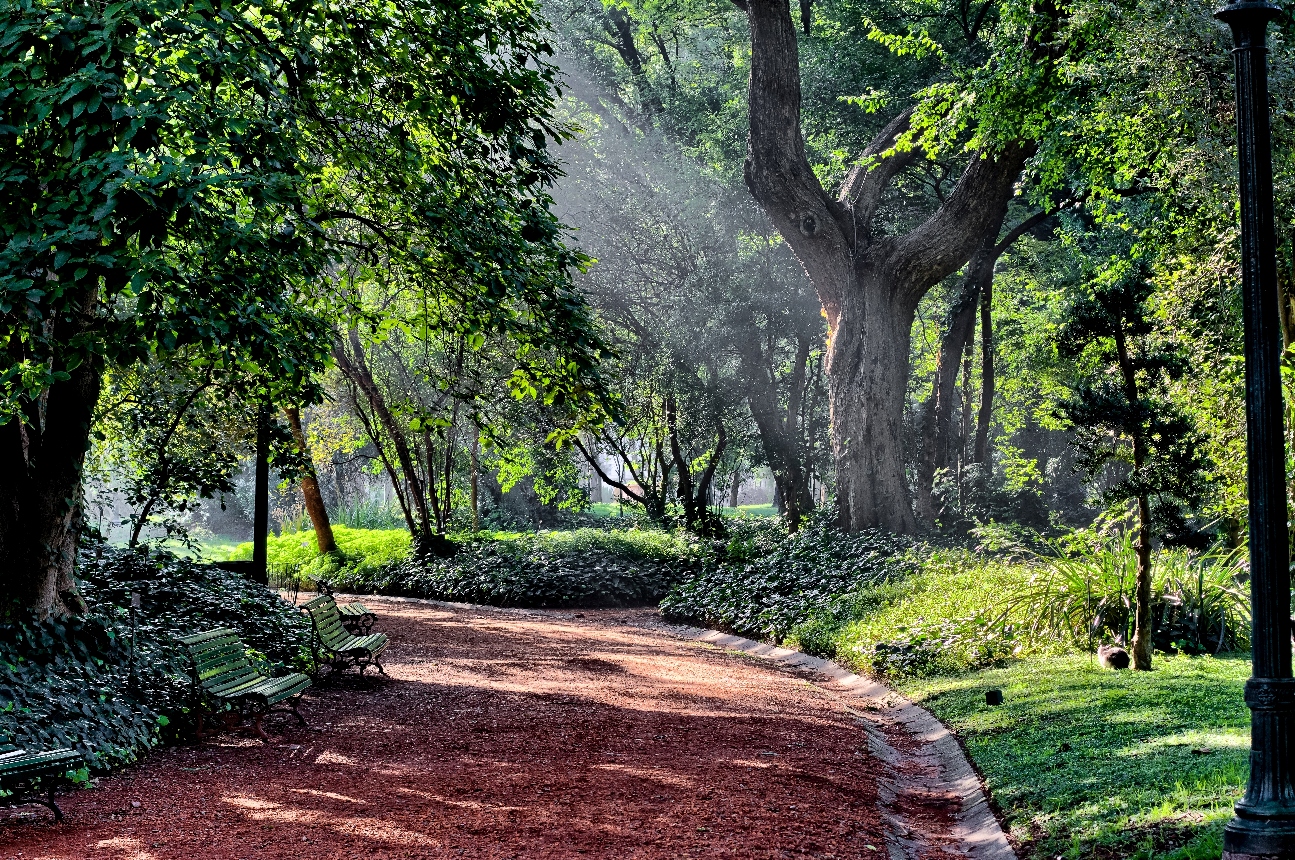 El Jardín Botánico cumple 118 años | Buenos Aires Ciudad - Gobierno de la Ciudad Autónoma de Buenos Aires