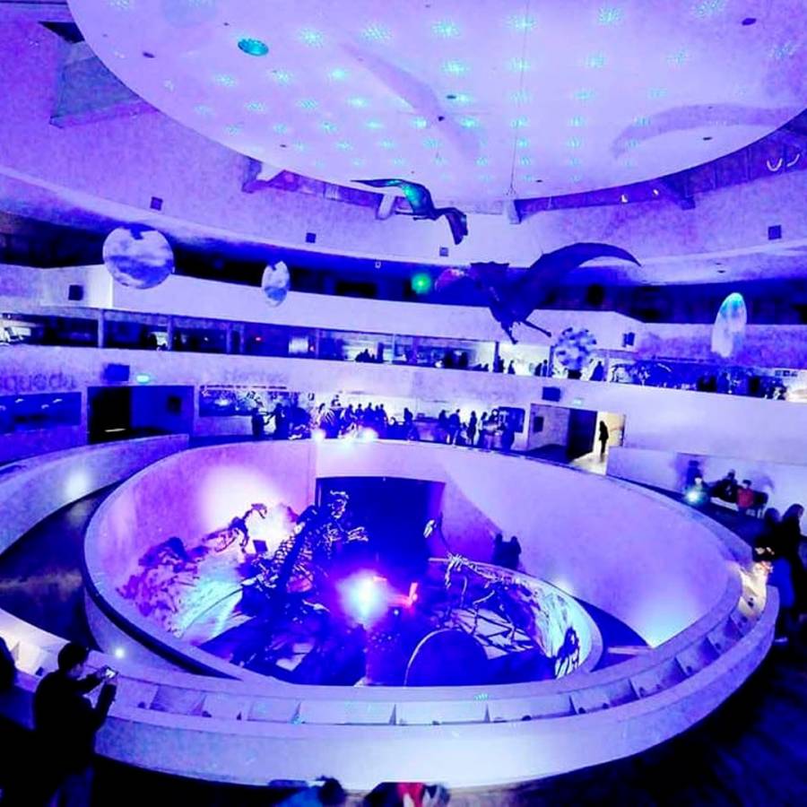 noche-de-los-museos-cuadrada-1