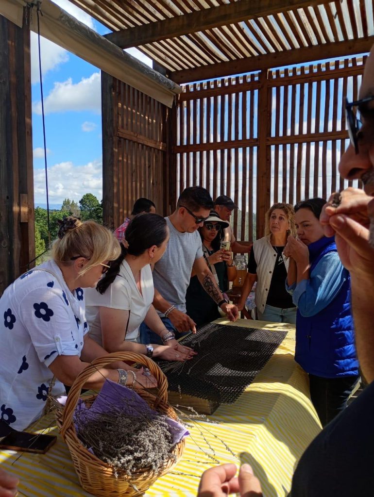 whatsapp-image-2025-11-05-at-12-26-15-770x1024-1