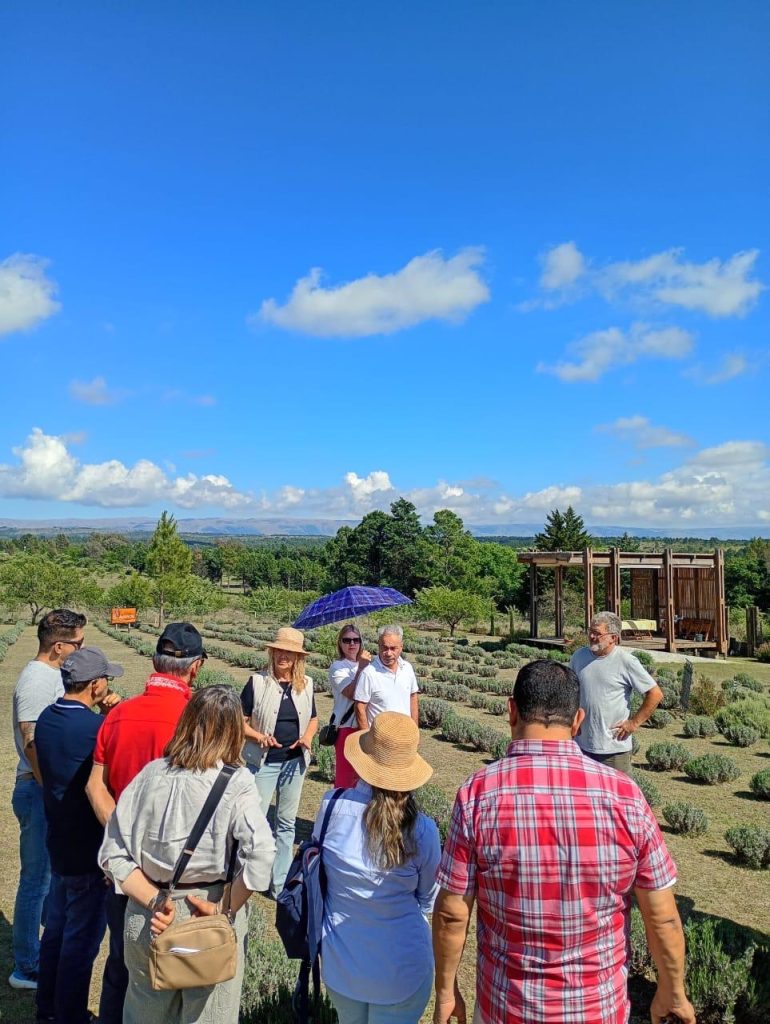 whatsapp-image-2025-11-05-at-12-26-16-770x1024-1