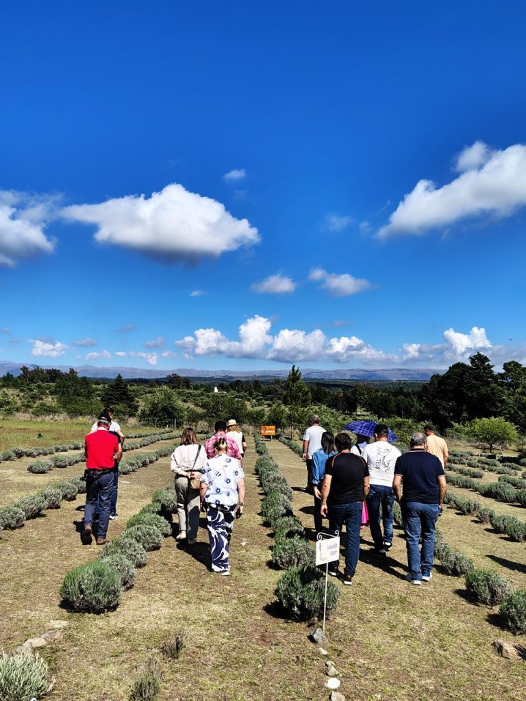 whatsapp-image-2025-11-06-at-11-31-25-768x1024-1-1