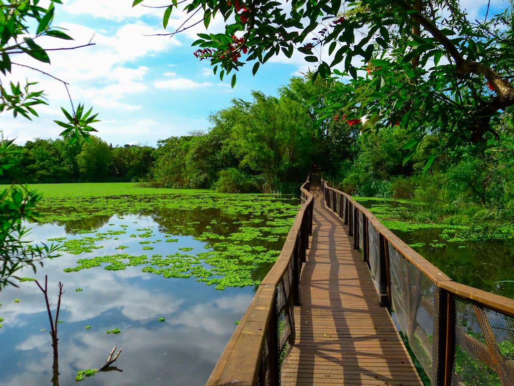 La Reserva Ecológica de Vicente López una opción para el finde - Tripin