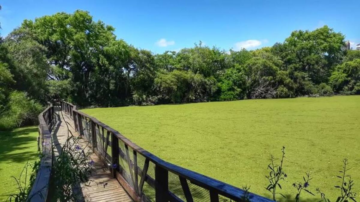 Escapada a una reserva escondida en Buenos Aires a minutos del Obelisco