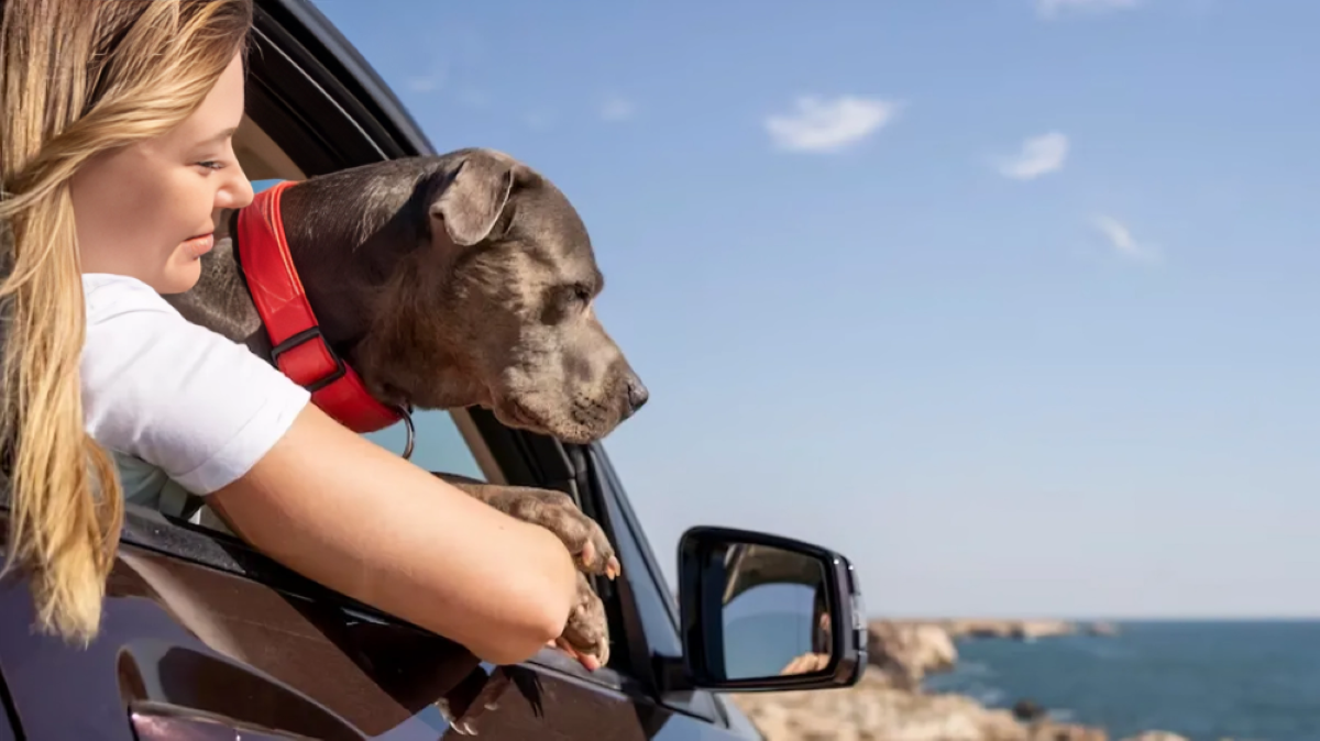 Tandil es uno de los mejores destinos para hacer escapadas con mascotas cerca de Buenos Aires.
