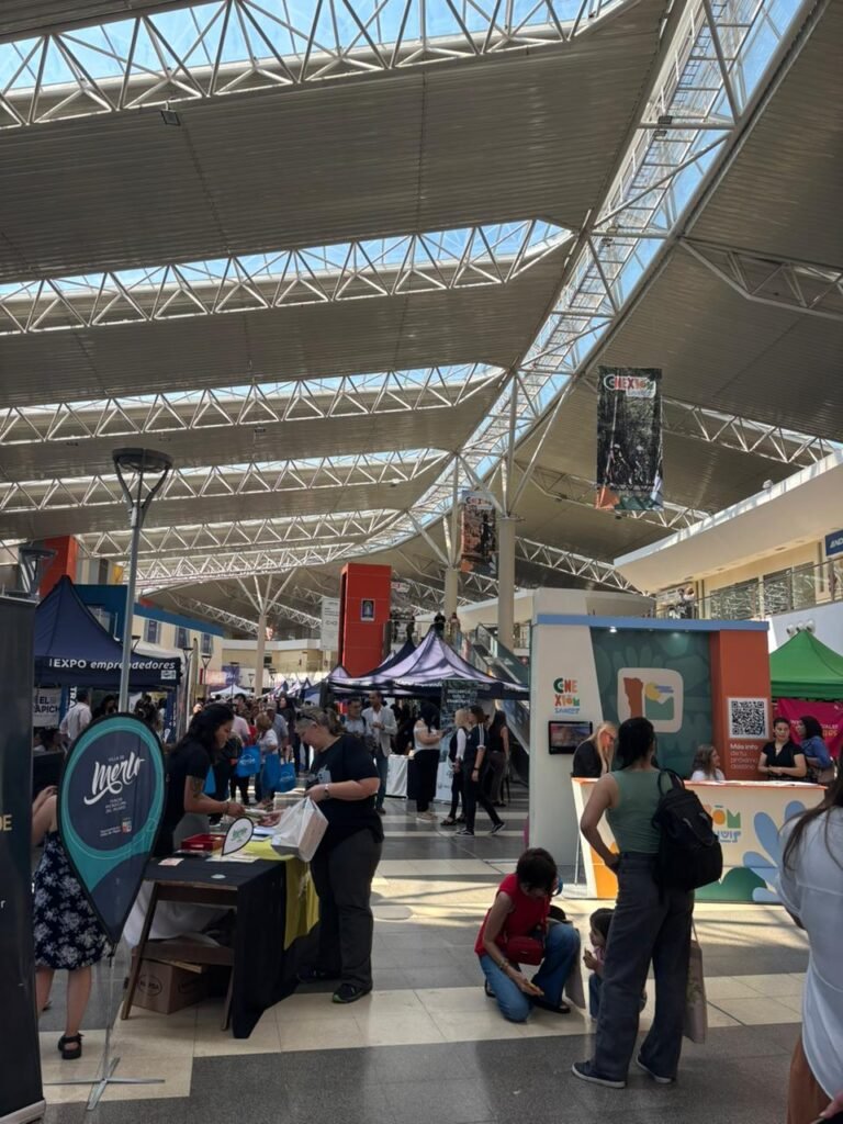 imagen-de-whatsapp-2025-11-28-a-las-11-25-28_e613942a-768x1024-1