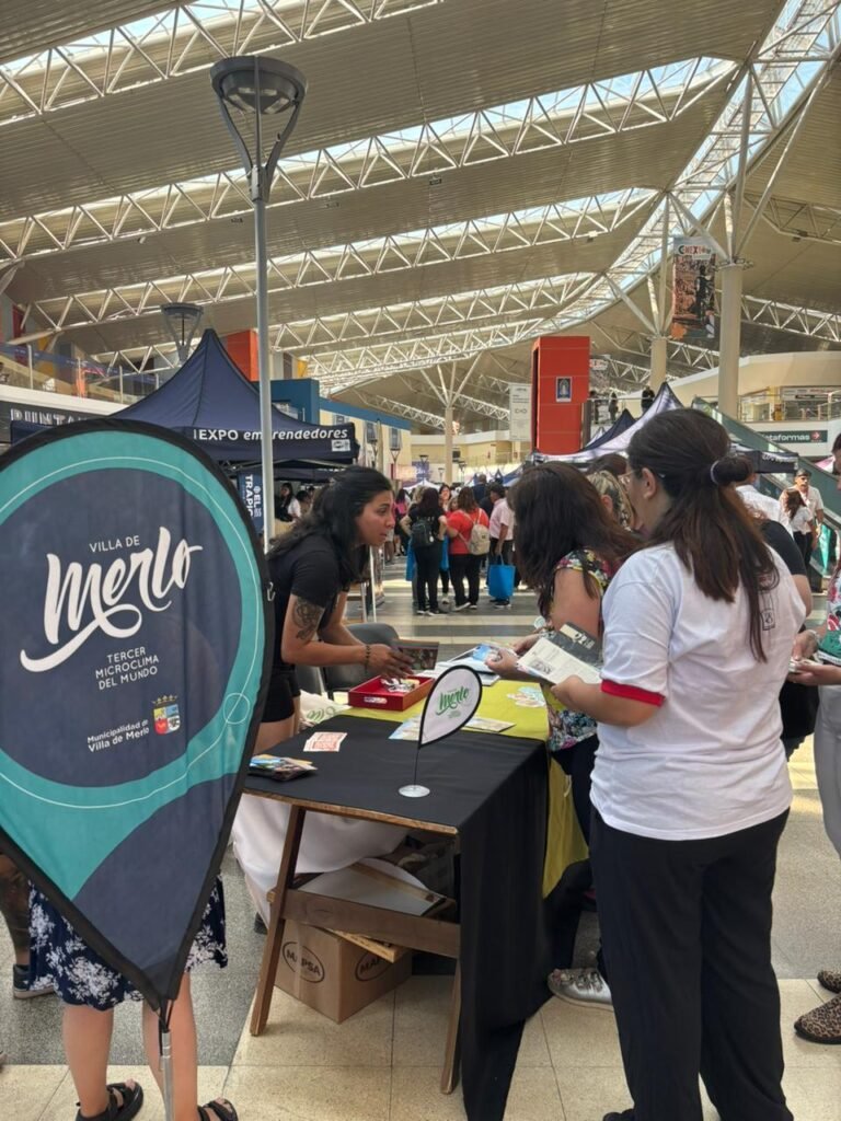 imagen-de-whatsapp-2025-11-28-a-las-11-25-33_73540bb0-768x1024-1