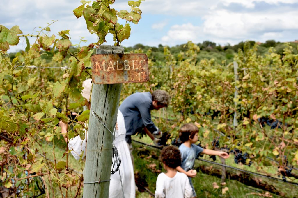 face1-scaled-1-1024x683-1