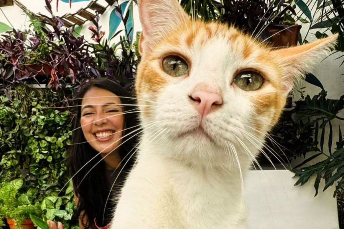 Cafeterias pet friendly en Buenos Aires para tu peludo favorito