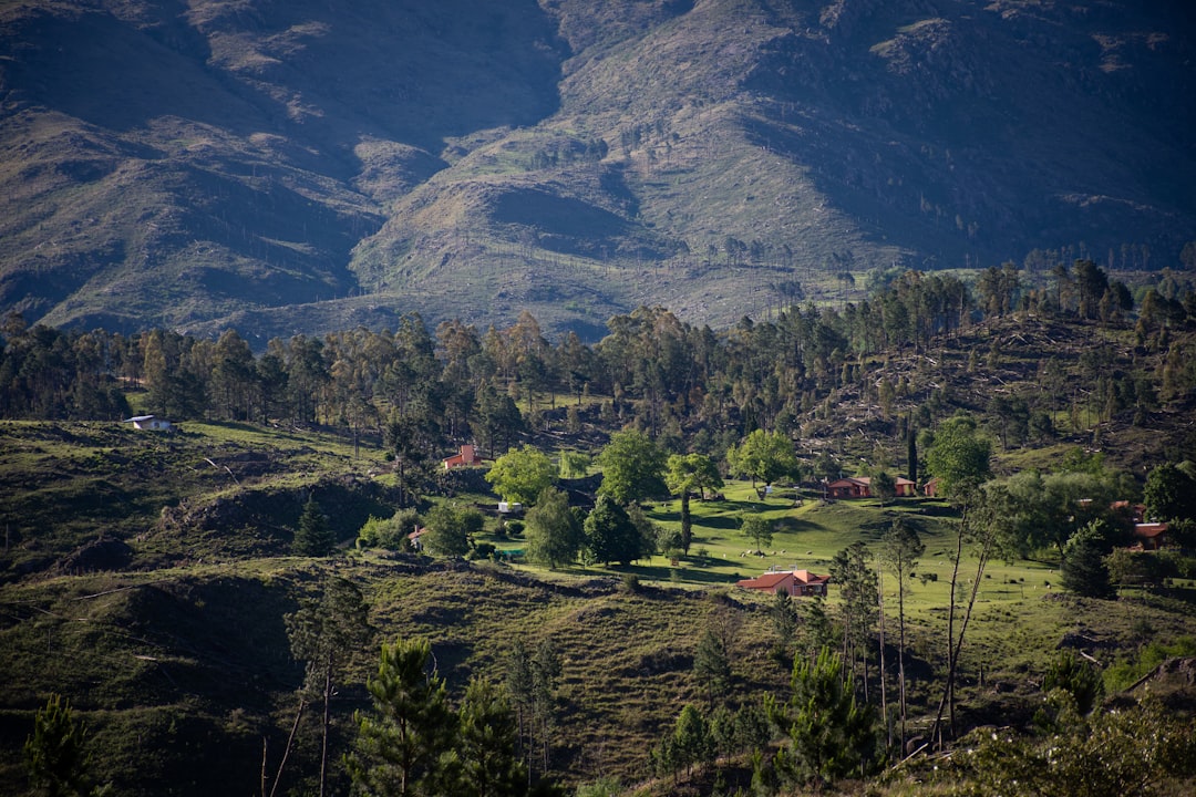 Las Sierras de Córdoba: el paraíso que tu perro merece (y vos también)