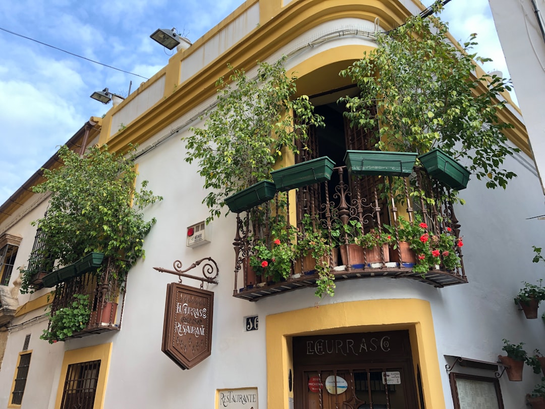 La noche cordobesa te va a sorprender: así es la vida universitaria en el Casco Antiguo