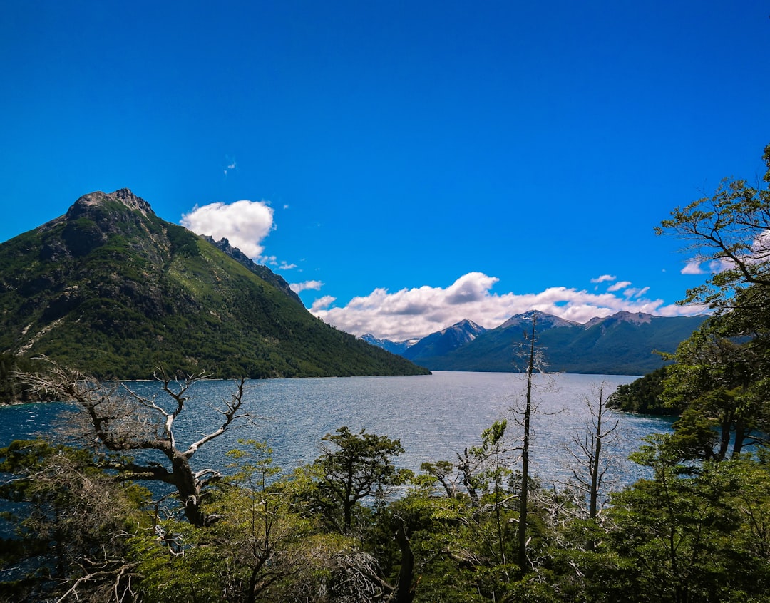 Las cervecerías artesanales de Bariloche: dónde probar las mejores cervezas patagónicas de Argentina