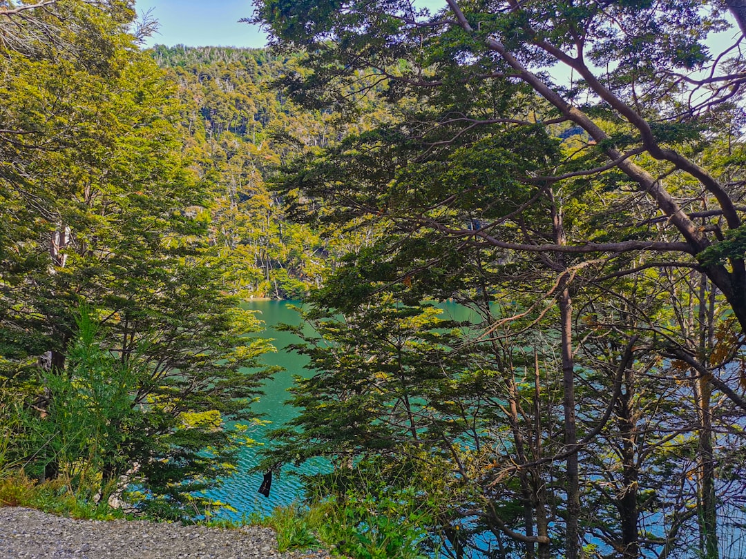 San Martín de los Andes en otoño: la Patagonia te espera con sus colores más vibrantes
