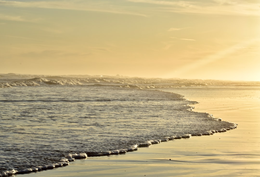 La Perla de Mar del Plata: dónde encontrás las mejores olas para surfear en Argentina