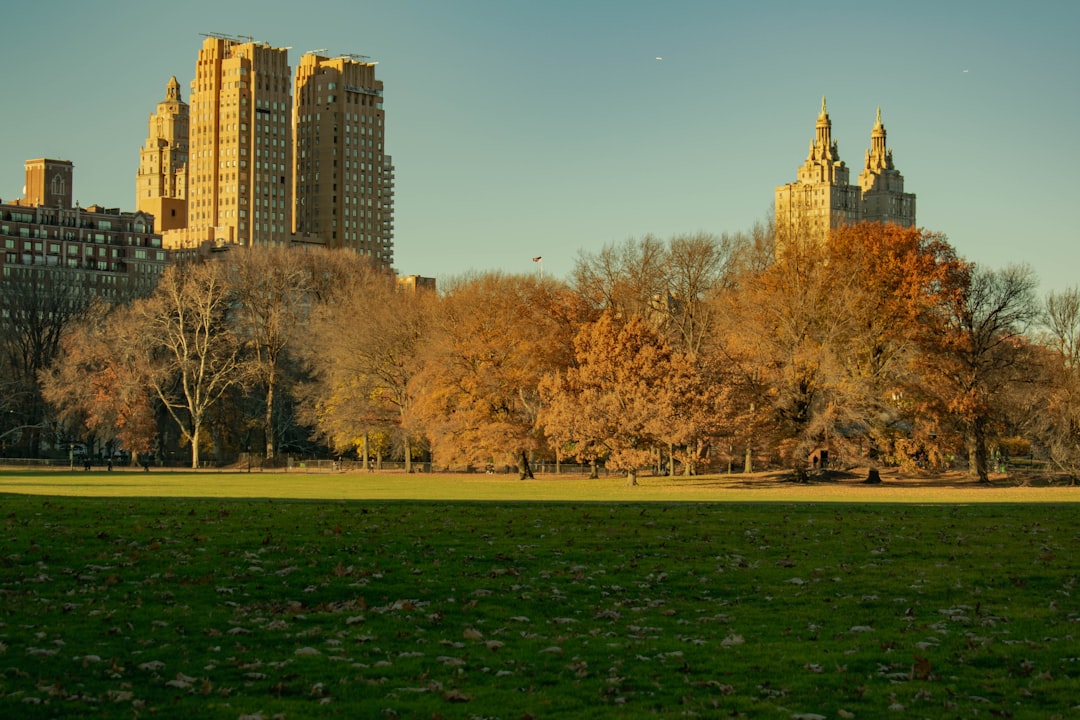 Nueva York con tu perro: la ciudad que te espera a vos y a tu compañero peludo