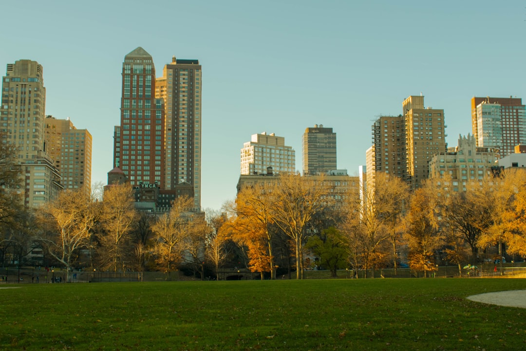 Nueva York con tu perro: la ciudad que te espera a vos y a tu compañero peludo