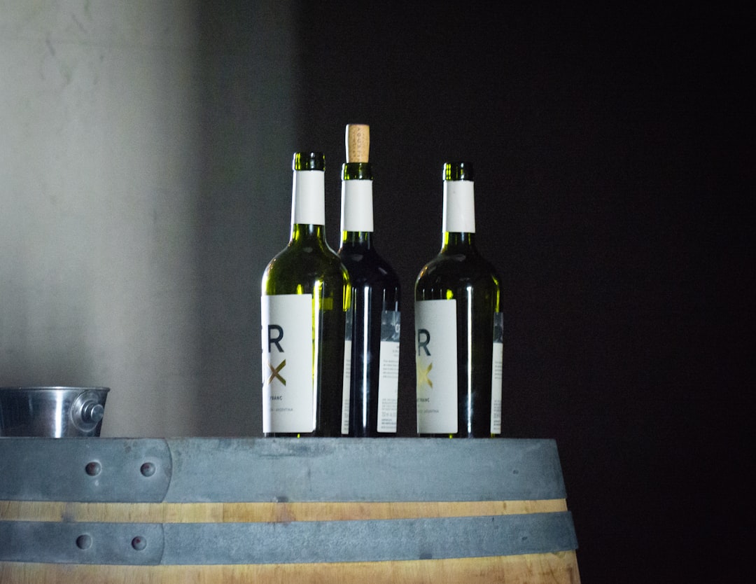 Por qué la ruta del vino en Mendoza es el viaje que tenés que hacer en 2026