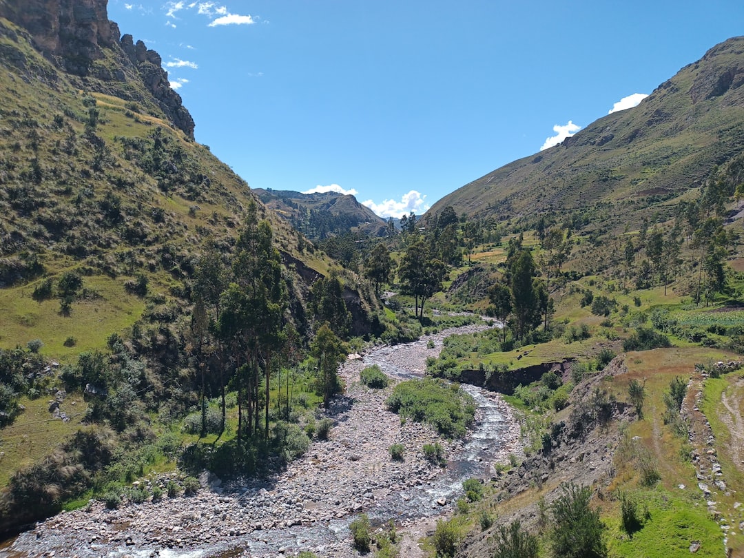 Por qué los tamales de Tafí del Valle son lo mejor que va a probar tu paladar este año