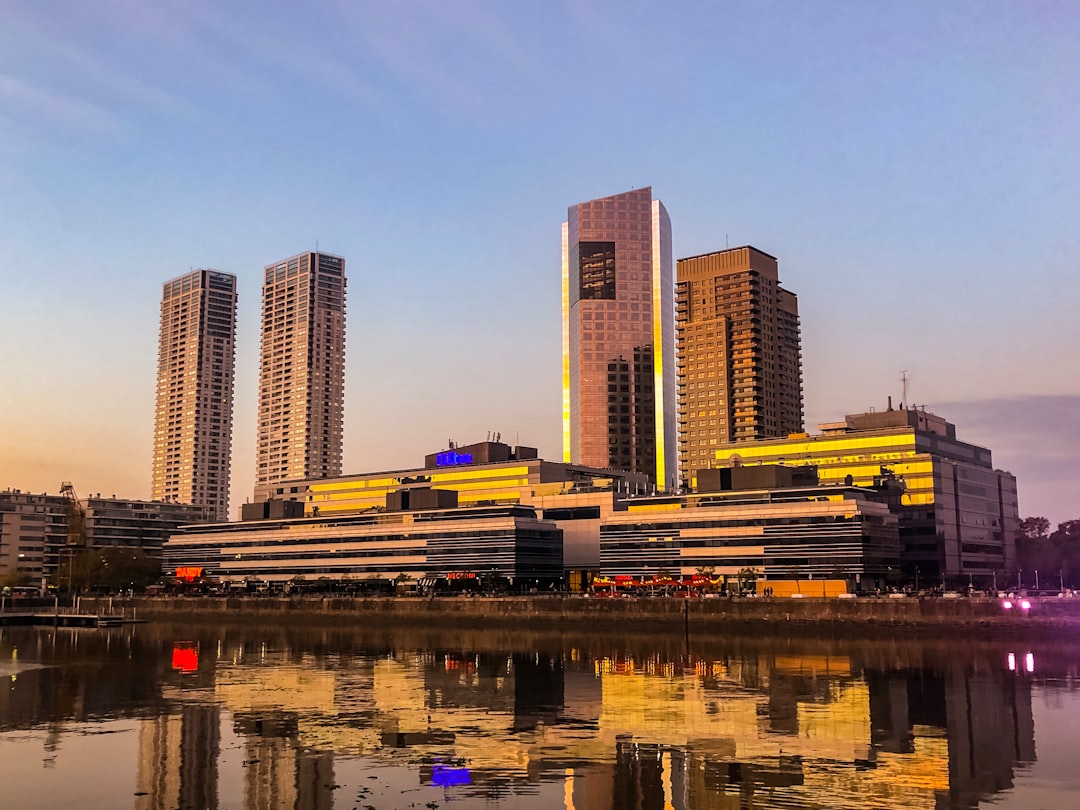 Tu perro merece hospedarse en Puerto Madero: la guía de hoteles pet friendly que te va a sorprender
