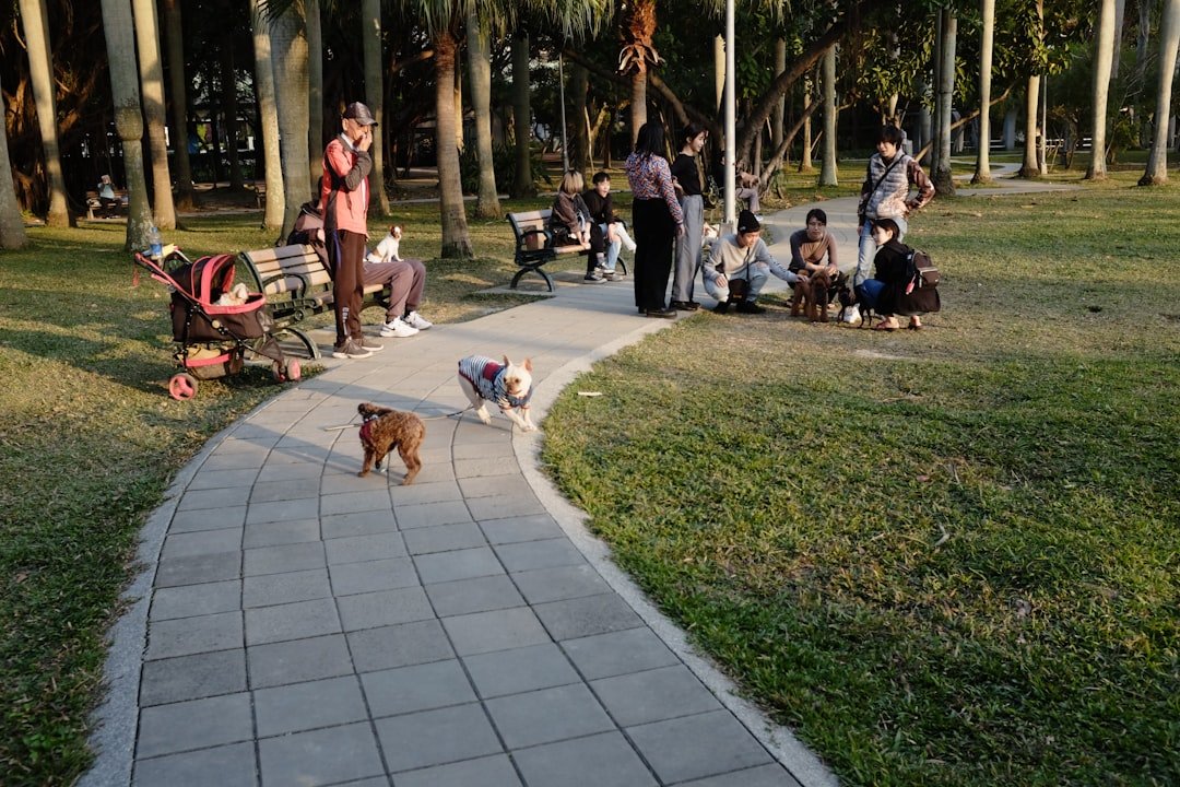 Viena con tu perro: la ciudad donde viajar con tu compañero peludo es más fácil que nunca