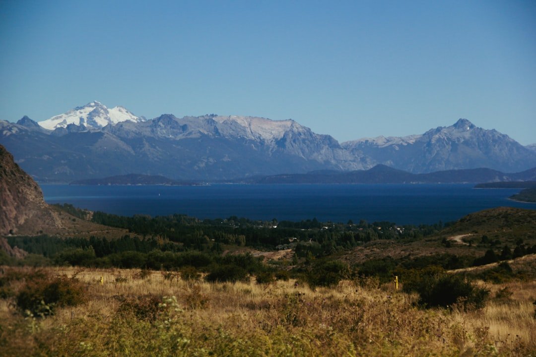 Volá con tu perro a Bariloche sin estrés: la guía definitiva para viajar juntos en avión