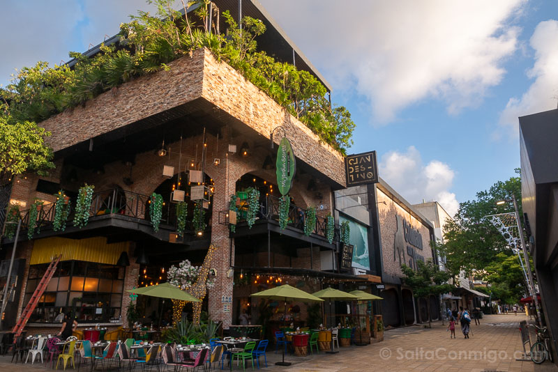 Que Hacer En Playa Del Carmen Quinta Avenida