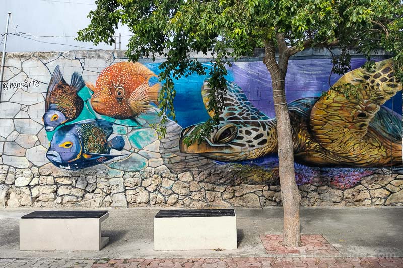 Que Hacer En Playa Del Carmen Arte Urbano