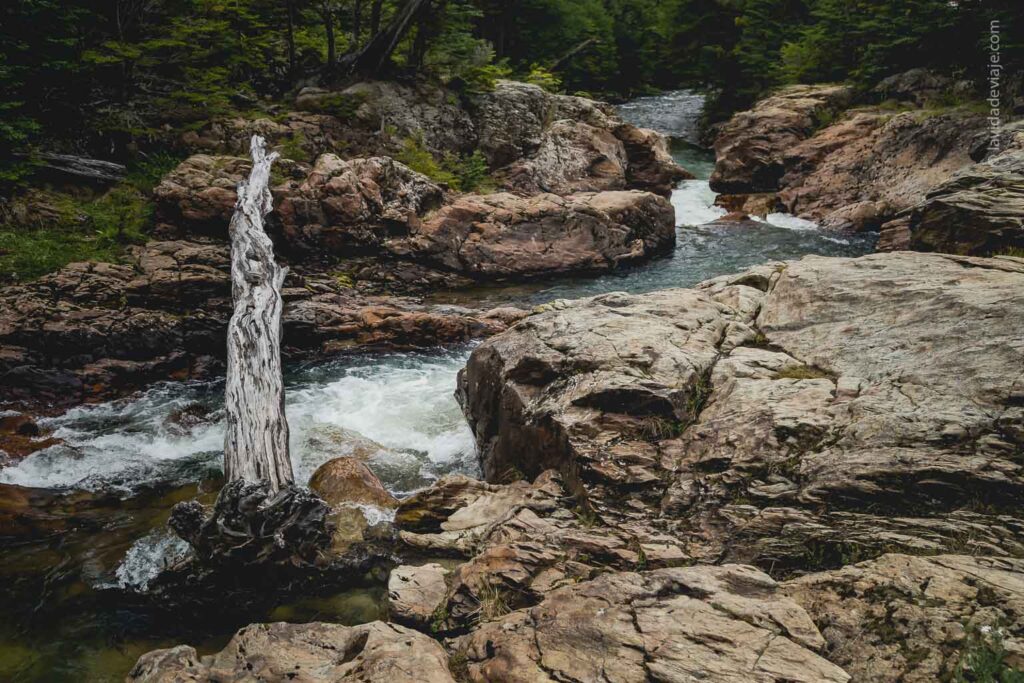 Río Pipo Parque Nacional Tierra del Fuego