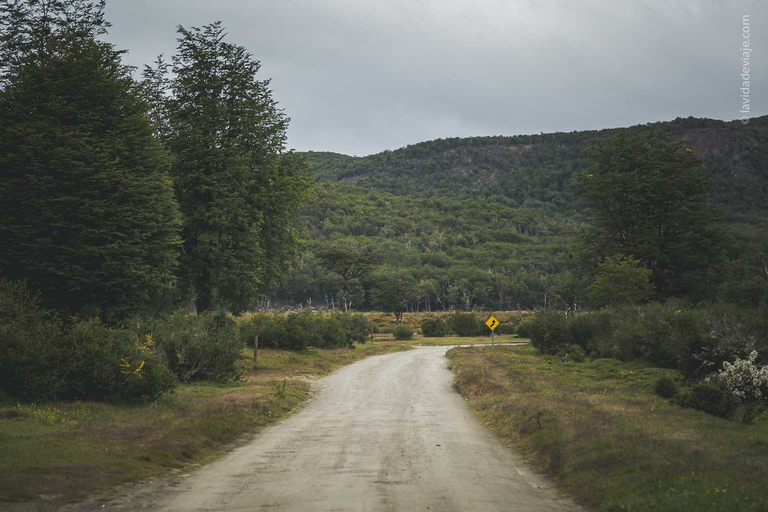 paisaje del parque nacional tierra del fuego