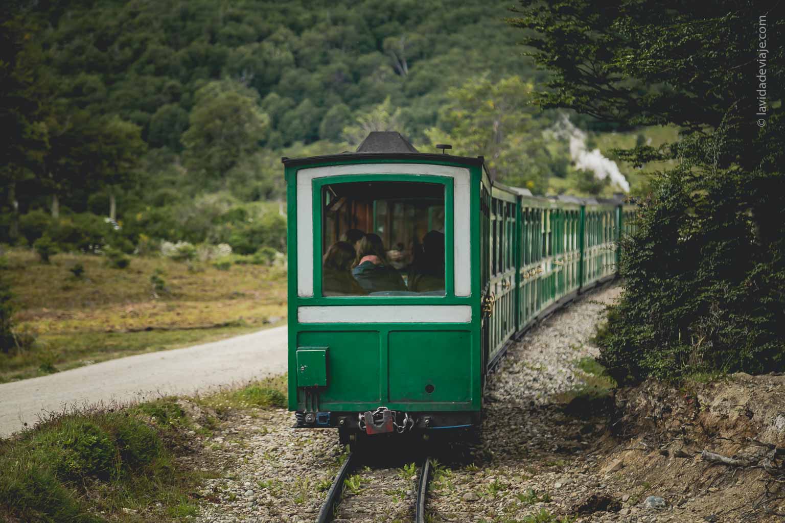 tren del fin del mundo atravesando el bosque