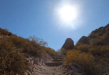 Alta Montaña: x Corredor Bioceánico