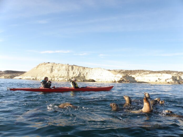 Ballenas, pingüinos, orcas y mucho más en Puerto Madryn
